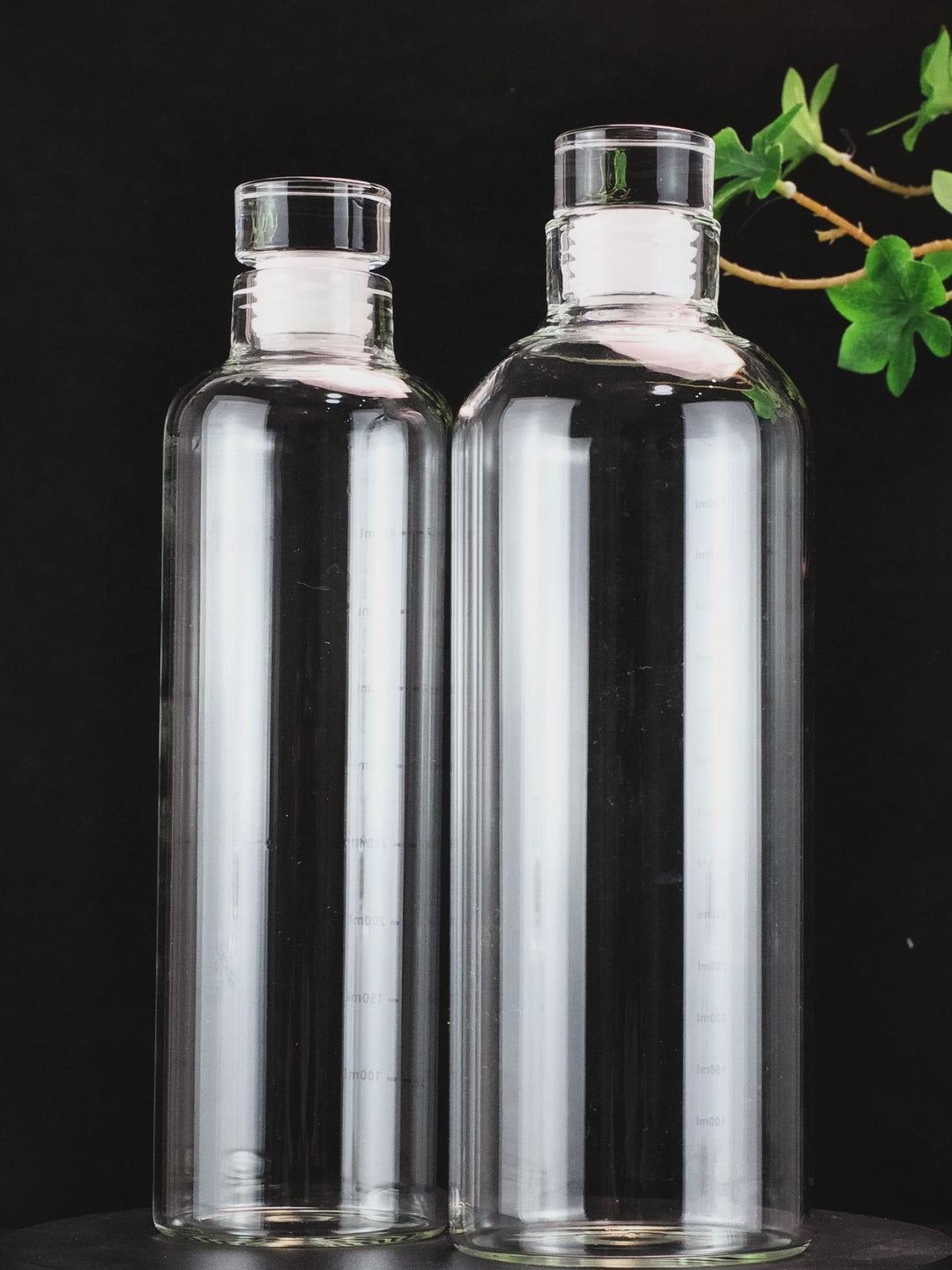 Empty 750ml premium borosilicate glass water bottle showing its clarity (SKU 301).
